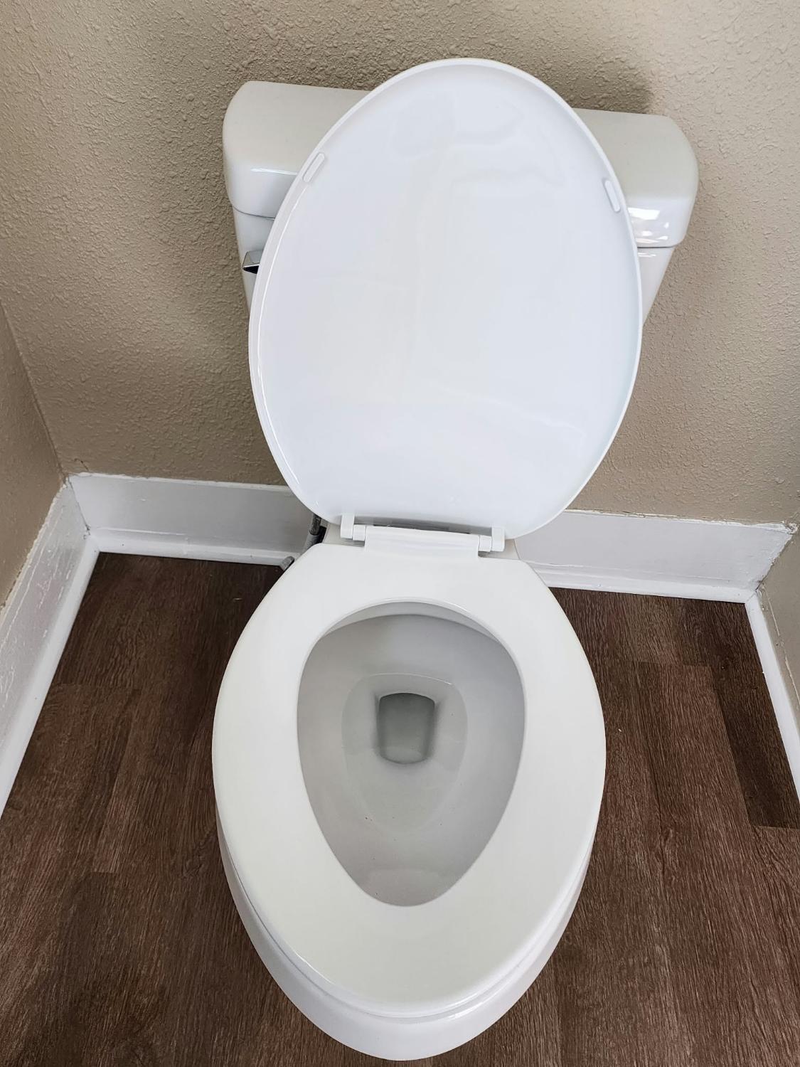 A toilet after a Connie's Cleaning visit