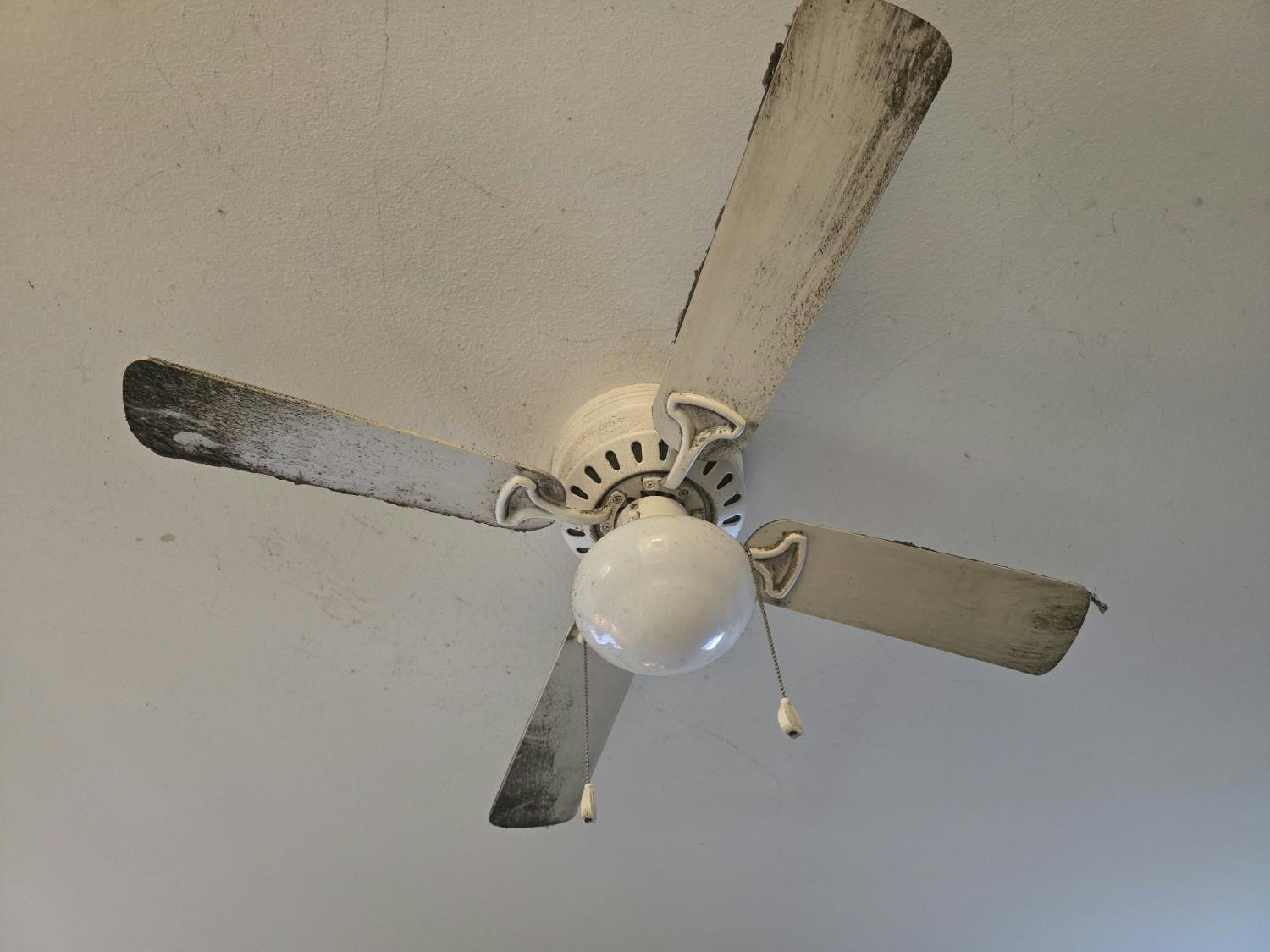 Ceiling fan blades coated in dust