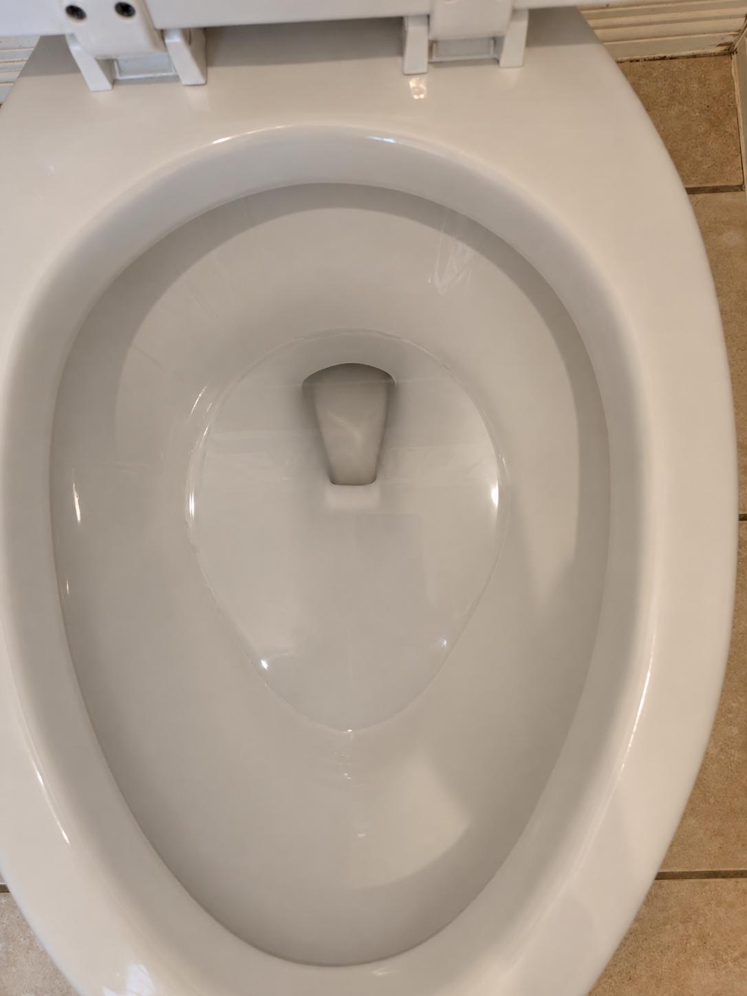 The same toilet bowl clean and bright