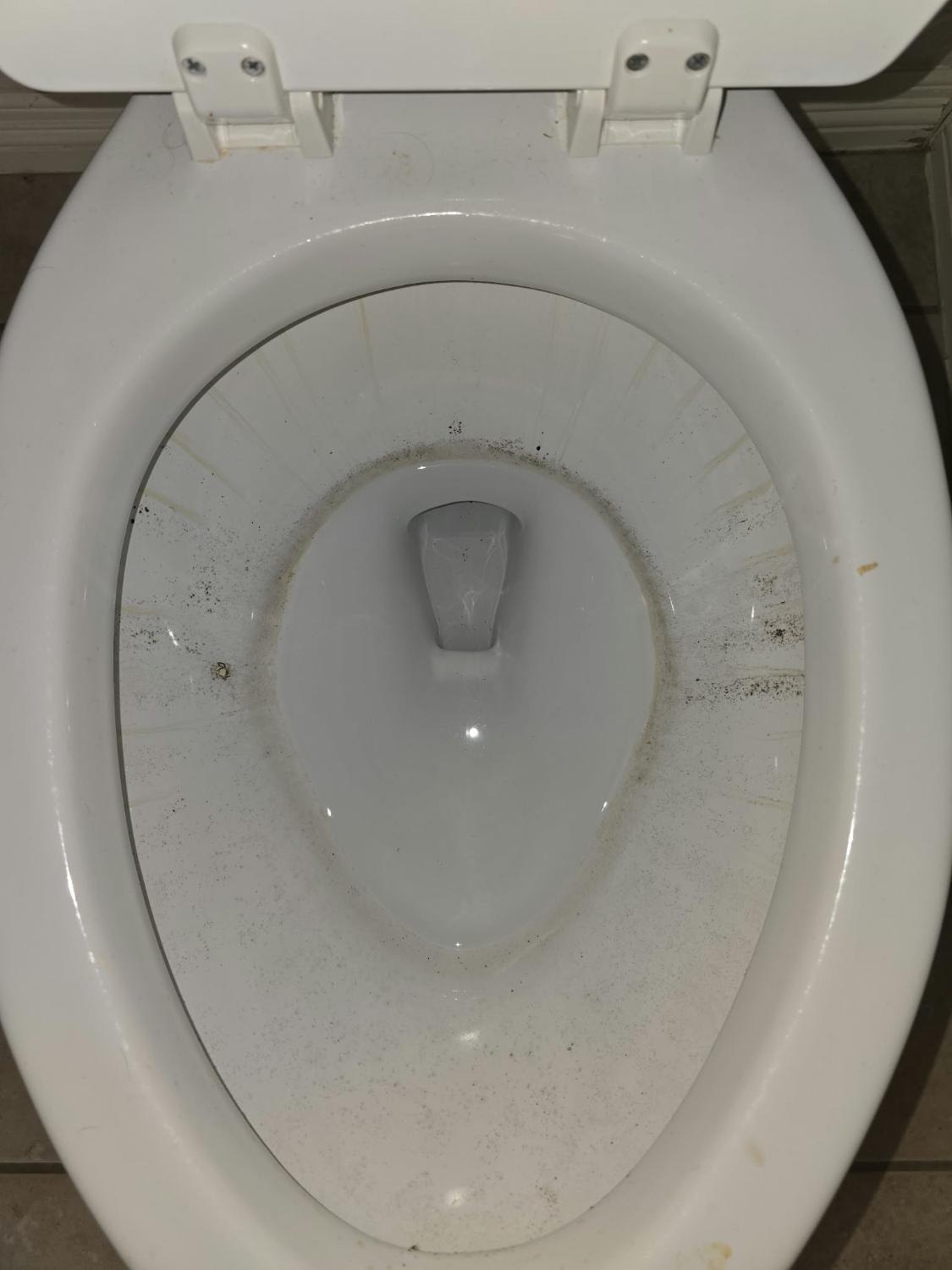 Toilet bowl with scale and spots before cleaning