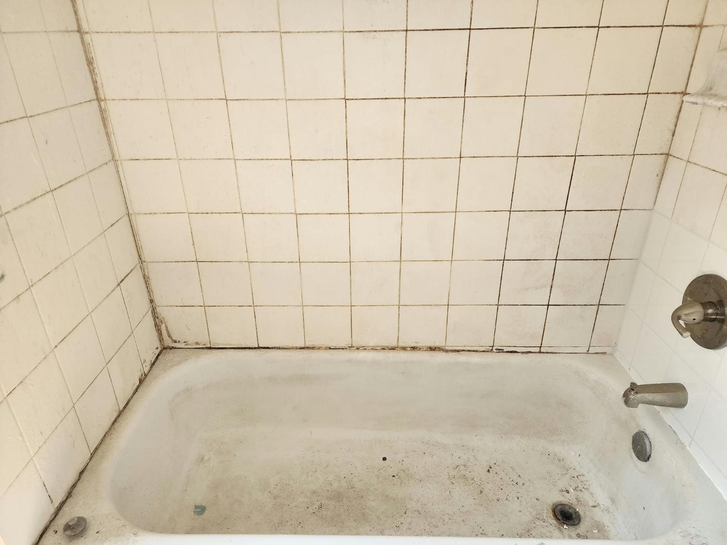 Bathtub and tile with soap scum and dark grout